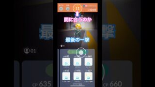 メガチルタリスレイド最後の一撃メタモンで狙ってみた🤣