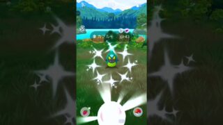 588 #カブルモ #色違い #ポケモンgo #pokemongo #gofest2025