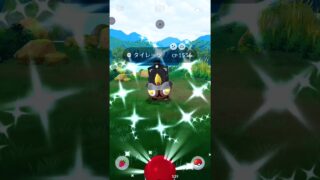 870 #タイレーツ(列車) #色違い #pokemongo #ポケモンgo #gofest2025