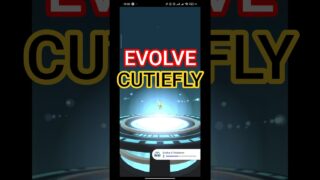 CUTIEFLY Evolution into RIBOMBEE! 🐝✨ Fairy-Bug Power in Pokémon GO! #pokemon #shorts