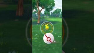 Catching tatsugiri after a raid#tatsugiri#pokemon#pokemongo#pokémongo