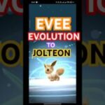 Eevee to JOLTEON Evolution Trick! ⚡ Community Day in Pokémon GO 🔥 #pokemon #pokemongo #shorts