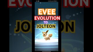 Eevee to JOLTEON Evolution Trick! ⚡ Community Day in Pokémon GO 🔥 #pokemon #pokemongo #shorts