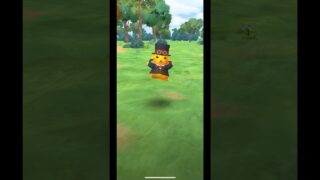 色違いコスチュームピカチュウだけは絶対にGETしたい◓⃙⁣ #ポケモンgo #色違いポケモン #ピカチュウ