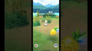 色違いイーブイGET!!! #pokemon #pokemongo #ポケモン #ポケモンgo #shorts