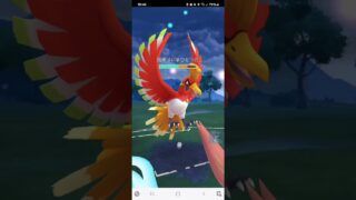 ポケモンGO 通常マスターリーグ ルカリオ、ホウオウ、アシレーヌ