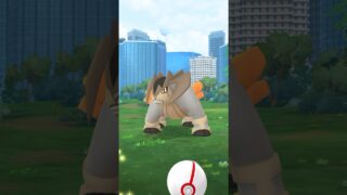 ポケモンGO ｜#013｜無課金｜ Pokémon GO
