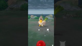 ポケモンGO ｜#018｜無課金｜ Pokémon GO