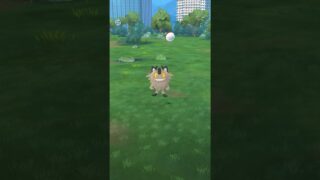 ポケモンGO ｜#09｜無課金｜ Pokémon GO