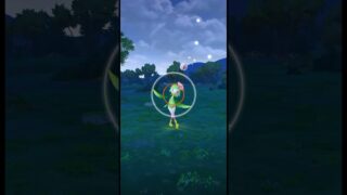 無課金でポケモンGO ドレディアゲットだぜ！〔ドバイ産〕