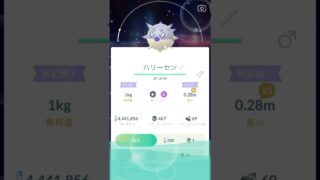 無課金でポケモンGO とうとう出たねハリーセン色違い‼️