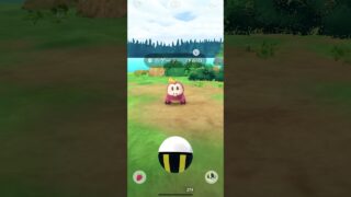 ポケモンGO ホゲータ　色違い