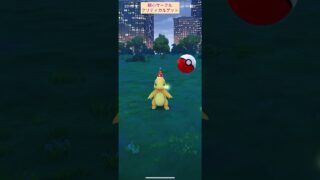【難易度低】色違い帽子ヒトカゲ極小サークルクリティカルゲット【ポケモンGO】