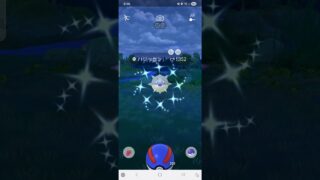色違い　ハリーセン　ポケモンGO