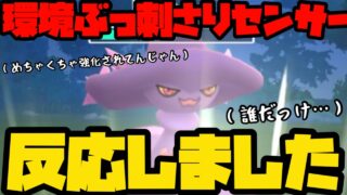 【ポケモンGO】はるきちセンサーが反応しました。ぶっつけ本番で試すぞ！