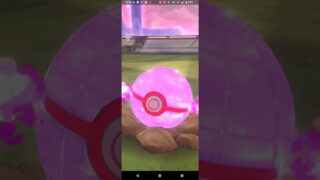 色違いダイマックス、ラティアス捕獲【ポケモンGO】