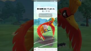 ポケモンGO 通常マスターリーグ ザマゼンタ(盾の王)、Bキュレム、ホウオウ
