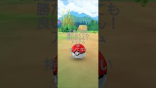 ポケモンGO　#ポケモンGO#色違い#対戦#報酬