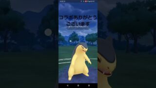 あくたん推しのポケGO民さんとコラボリベンジ戦① #ポケモンgo #スーパーリーグ