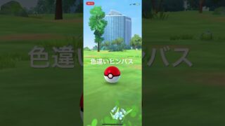ポケモンGO 色違いヒンバス出現！ #ポケモン #ポケモンgo #pokémon