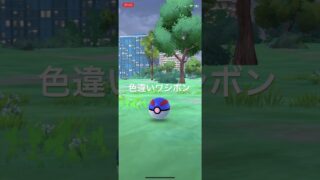 ポケモンGO 色違いワシボン出現！ #ポケモンgo #ポケモン #pokémon #pokemongo