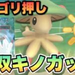 『ポケモンGO』技が環境を制覇する！爆ささり超火力キノガッサ【陽光カップ】　#ポケモンgo #ポケモン #pokemongo #pokemon #ゲーム #ゲーム実況