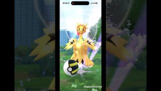 【ポケモンGO】おさんぽおこう〜色違いガラルサンダー 〜 #ポケモン #ポケモンgo #pokemongo #pokemon #色違い #ガラルサンダー #おさんぽおこう