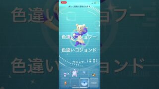 ポケモンGO 色違いコジョフー出現！色違いコジョンドへ進化！ #ポケモン #pokémon #ポケモンgo #pokemongo