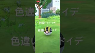 ポケモンGO 色違いヒドイデ出現！色違いドヒドイデへ進化！ #ポケモン #pokémon #ポケモンgo #pokemongo