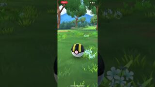 【ポケモンGO】色違い”1”体！出てくれたｗ #shrots #ポケモン #ポケモンgo #pokemongo #色違い #クワッス #コミュニティデイ #つるっぱげたけちゃんのおやじちゃんねる