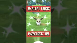 【ポケモンGO】背景付きイーブイどこ？色違いイーブイ100体ゲット!? コミュデイ奇跡の瞬間を公開！ #pokemongo #おひろめ #コミニュティディ #shorts