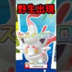 【ポケモンGO】裏ストック解放でほしのすな大量ゲット！イベントでやるべきこと3選! #pokemongo #ヒスイゾロア #shorts