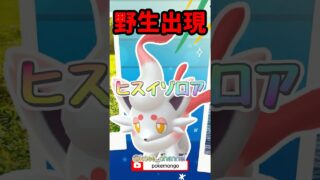 【ポケモンGO】裏ストック解放でほしのすな大量ゲット！イベントでやるべきこと3選! #pokemongo #ヒスイゾロア #shorts