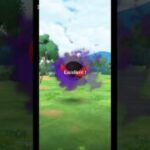 【ポケモンGO】今日のExcellent #陰キャのゲンガー #ポケモンgo
