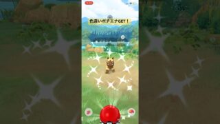 ポケモンGO色違いポチエナGET！！#ポケモン #ポケモンgo #pokemongo