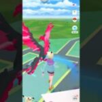 【ポケモンGO】ガラルファイヤーGETチャレンジ【30分おさんぽおこう】#ポケモンgo #shorts #おさんぽおこう