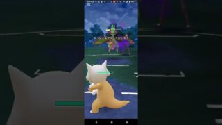 陽光カップ【ポケモンGO】Sラグラージ、ガラガラ、ファイアロー