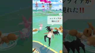 【ポケモンGO】ニンフィアが現れた!!【✨When I Got Sylveon Pokémon GO✨】【Pokemon Card Artwalk】【ポケポケ】