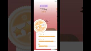 ポケモンGO色違いホゲータゲットしたけど…#ポケモンgo