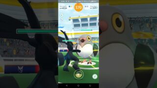 Pokémon Go 1 Star Raid Dusselgurr/ Pidove Solo  #pokemongo