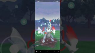 對戰#坂木老大 。〈Pokémon Go 〉暗影神獸。帝牙盧卡/貓老大/袋獸。#火箭隊 精靈#寶可夢 。20250728.  #pokemon  #彩色筆小璦