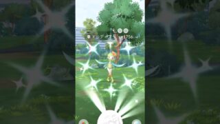 [PokemonGO]   ヒスイドレディアレイドデイ 無課金色違いゲットなるか？ #ポケモンgo