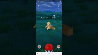 【Pokemongo】色違い⭐Shiny⭐ポケモンGO⭐激レア❓