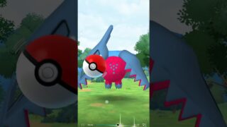 【Pokemongo】色違い⭐Shiny⭐激レア⭐ポケモンGO⭐