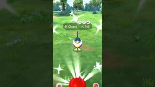 ✨ REGISTRO A CHATOT SHINY   EN EL CONCIERTO ESTIVAL de POKEMON GO🎼