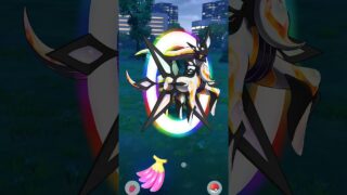 SHINY WATER Pokemon