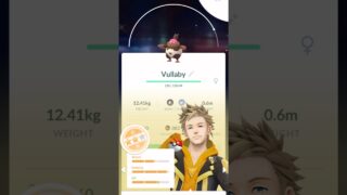 Shiny Vullaby Caught in Pokemon GO