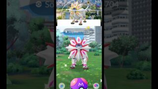 When I Got Background Solgaleo in Pokemon GO