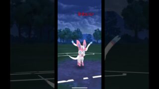 かわいいだけじゃだめですか？#ポケモンgo #きゅーすと #ニンフィア #ねこ