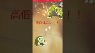 初めてのキラ交換！！ #ポケモンgo #色違い #のびろ #おすすめにのりたい
